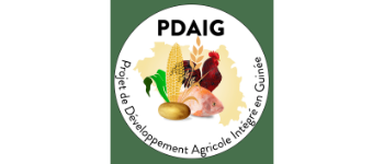 PDAIG